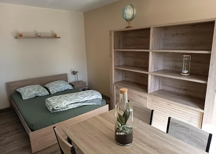 公寓 Grand T2 Cosy 4 Personnes Proche Centre 图尔